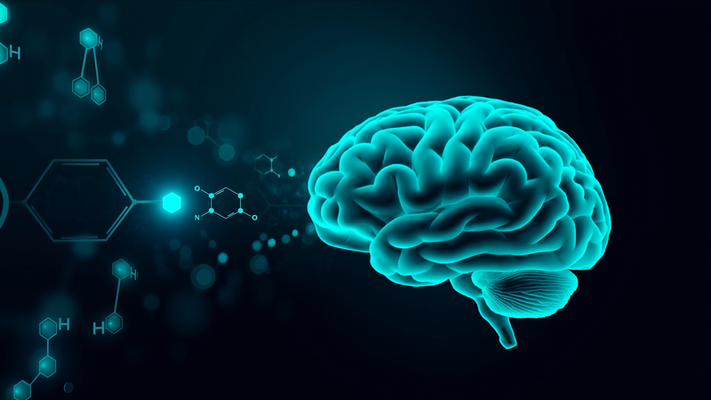 Nutrient molecules flowing into a human brain, illustrating nutritional support for concussion recovery