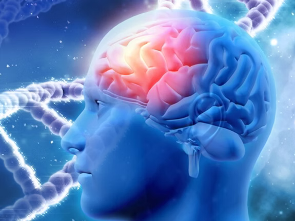 Illustration of the human brain showing neurological impact after a concussion with glowing neural pathways